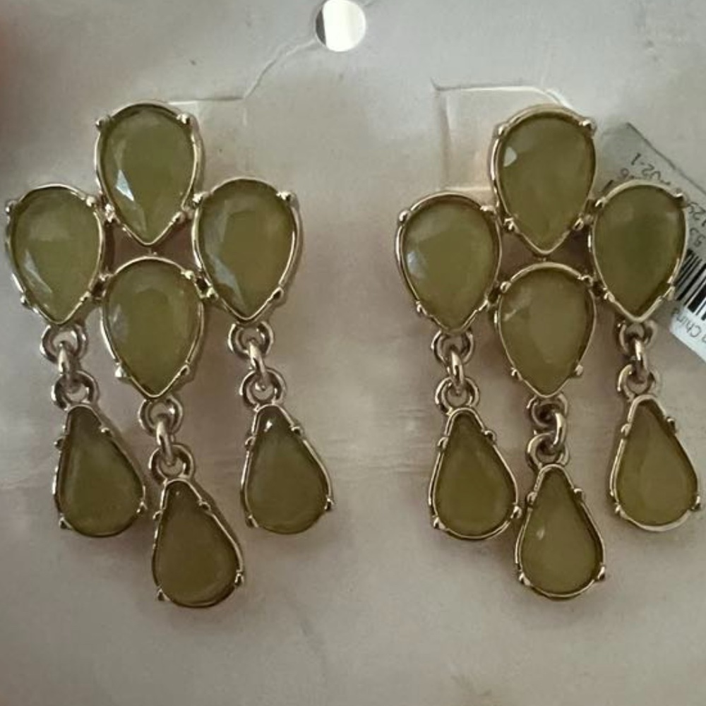 Banana Republic earrings never used